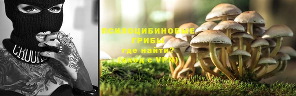 ПСИЛОЦИБИНОВЫЕ ГРИБЫ Абдулино