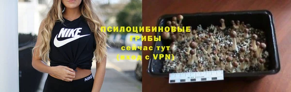 ПСИЛОЦИБИНОВЫЕ ГРИБЫ Абдулино