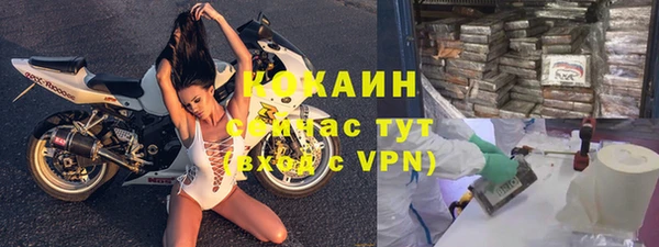 PSILOCYBIN Абаза